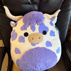 NWT 16 in Conway the highland cow squishmallow